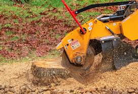 How Our Tree Care Process Works  in  Parlier, CA